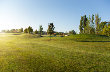 Beautiful golf course, green grass, trees, during sunrise in spring time.
