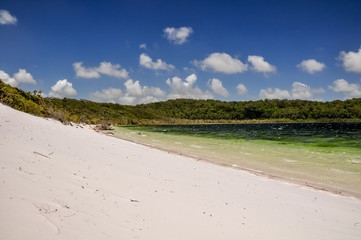 Stunning view of Lake Birrabeen on Fraser Island, Queensland, Australia, located in the Great Sandy...