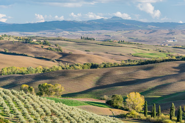Naklejka premium panorama of Siena in the Val d'Orcia and the Chianti hills