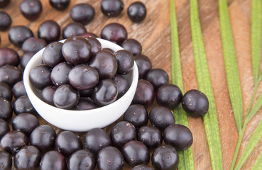 The amazon acai fruit (Euterpe oleracea)