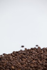 Roasted coffee beans