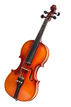 Old violin on white background.