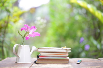 Butterfly Tree flower and books on wooden table