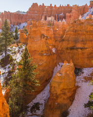 Colorful Landscape background