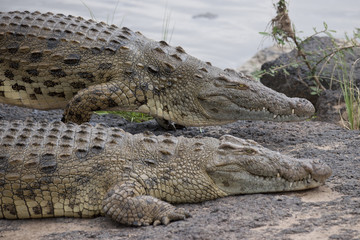 Kenya, Africa
