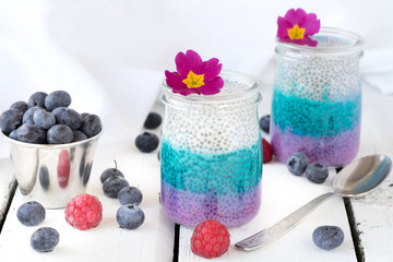 Obraz na płótnie Canvas healthy vegan coconut chia seeds pudding breakfast dessert fresh fruit blueberry flower hands