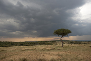 Kenya, Africa