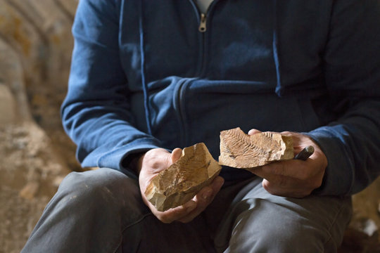 Man opens a fossil rock, Pesciara cave, Bolca di Lessinia, Italy