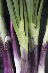 Close Up of Green Onion Stalks in Purple, Green and White
