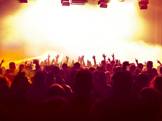 Obraz na płótnie Canvas cheering crowd at a rock concert