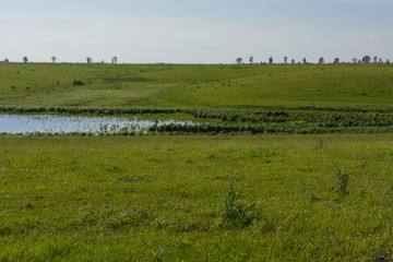 Fishing in private lake
