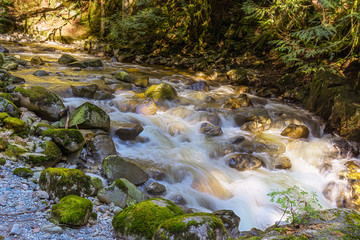 Beautiful Mountain creek in the forest Cypress Falls Park British Columbia Canada