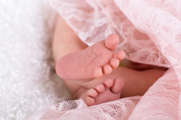Obraz na płótnie Canvas Close up of newborn baby girl's toes