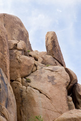 Joshua Tree