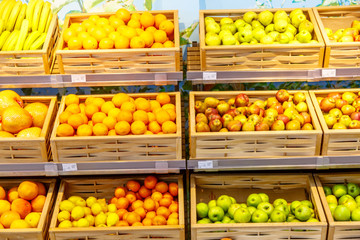 Shopping showcase in the supermarket with vegetables and fruit.