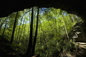 Moore Cove Falls, Pisgah NF