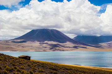Laguna Miscanti and Laguna Miñique, is an altiplanic lagoon of Chile of 4500 msnm where they...