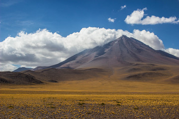 Obraz premium Laguna Miscanti and Laguna Miñique, is an altiplanic lagoon of Chile of 4500 msnm where they appear like a great oasis of turquoise waters, located in the Desert of Atacama (Region of Antofagasta).