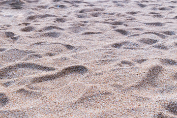 foot stamp on beach
