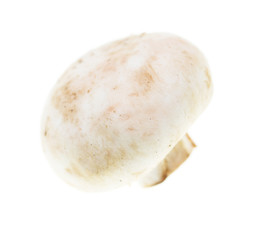 White mushrooms champignons