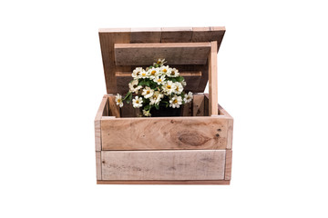 Flowers in wooden box isolated