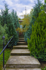 Design in the yard of a private house