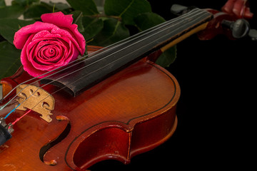 Fototapeta premium Violin sheet music and rose.