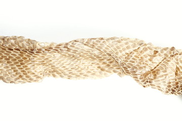 Snake slough put on white background represent the animal and texture surface background concept related idea.