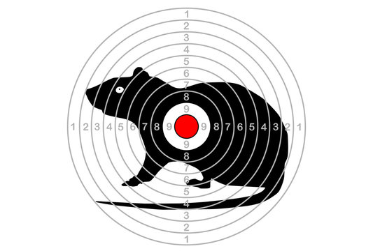 target shooting in the center with a mouse vector