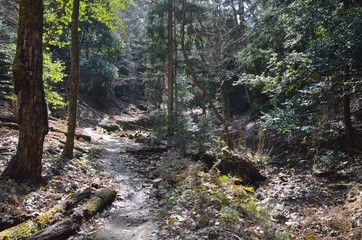 京都　大文字山