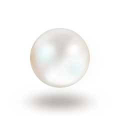 Single white natural oyster pearl with nacre mother of pearl outer isolated on white background...