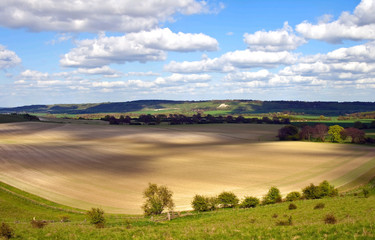 Fototapeta premium English Countryside