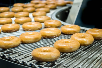 doughnuts or donut on conveyor belt in factory, a type of fried dough confectionery or dessert food