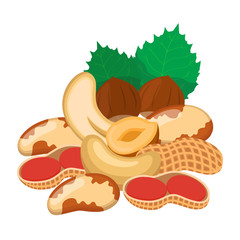 Different nuts set. Snack mix - peanut, brazil nut, cashew, hazelnut.