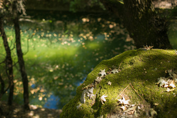 RHODES, GREECE: Unicue butterfly park