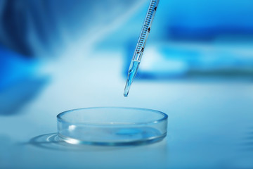 Scientist dropping a sample into a Petri dish