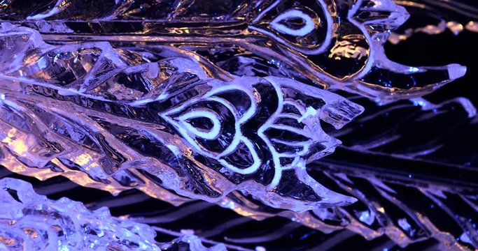 Close up shot of peacock feathers with the sunset shining through the ice