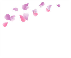 Purple Violet flying petals isolated on White background. Sakura Roses petals. Vector 