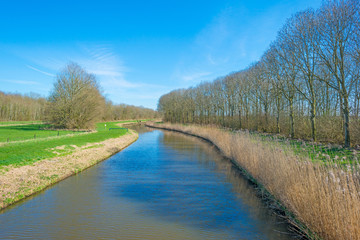 Canal through the countryside in spring