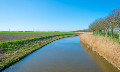 Canal through the countryside in spring