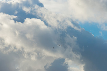 Clouds in a blue sky in spring