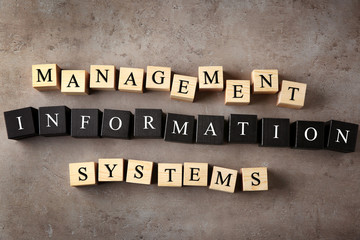 Wooden cubes with text MANAGEMENT INFORMATION STYLES on color background © Africa Studio