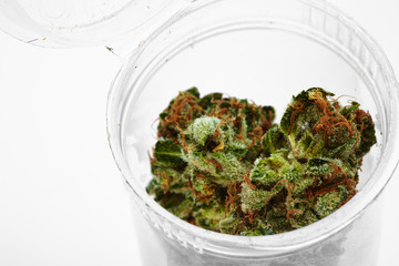 Close up of Silver Haze medical marijuana buds
