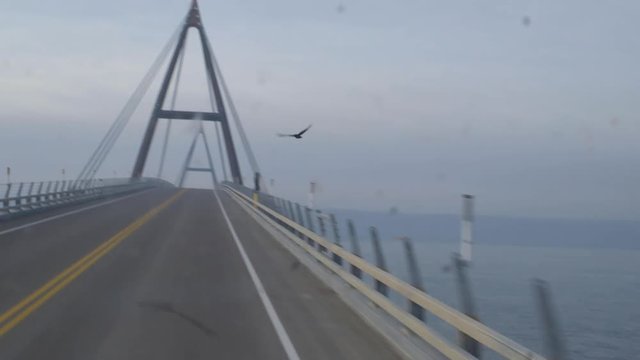 Moving shot accross suspension bridge