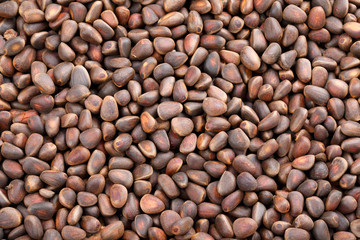 Pine nuts in the shell