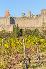 Fototapeta na wymiar Carcassonne, la Cité Médiévale, Aude, France