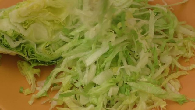 Fresh green iceberg lettuce
