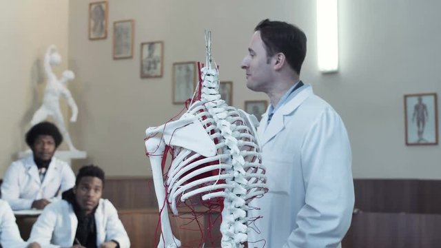 The professor in white overall, showing the anatomy of a skeleton in lection auditory to students