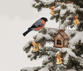 Festive decorations of Christmas trees and  bullfinch. Mass production