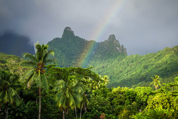 Rainbow on Moorea island jungle and mountains landscape - obrazy, fototapety, plakaty